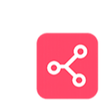 Software Company Near Me