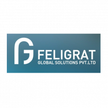 Feligrat Global Solutions Pvt. Ltd.