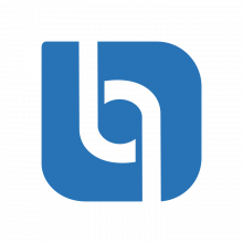Bluelupin Technologies Private Limited