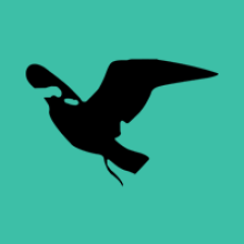 Drish Infotech
