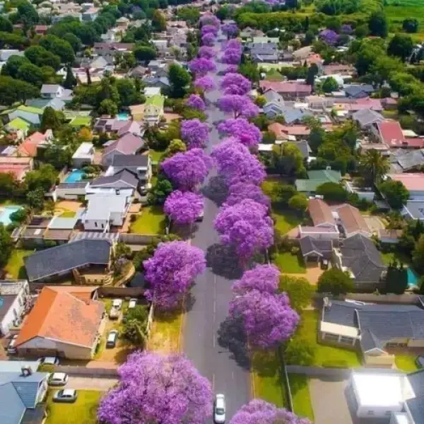Johannesburg