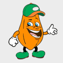 PAPAYAQATAR