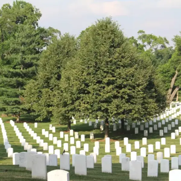 Arlington