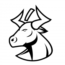 No Bull Code
