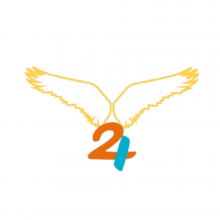 V24 Nexus Ventures - Background Verification Company