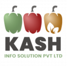 Kash Info Solution Pvt Ltd.