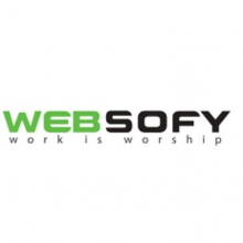 Websofy Software Pvt Ltd