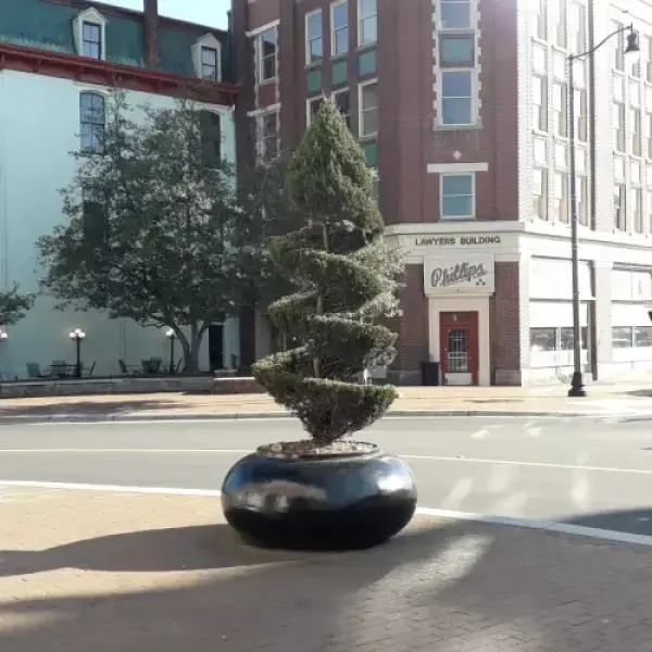 Fayetteville