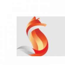 FOXIBE INNOVATIONS LLC