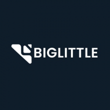 BigLittle Ai