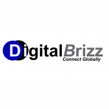 DigitalBrizz IT and digital Marketing Company