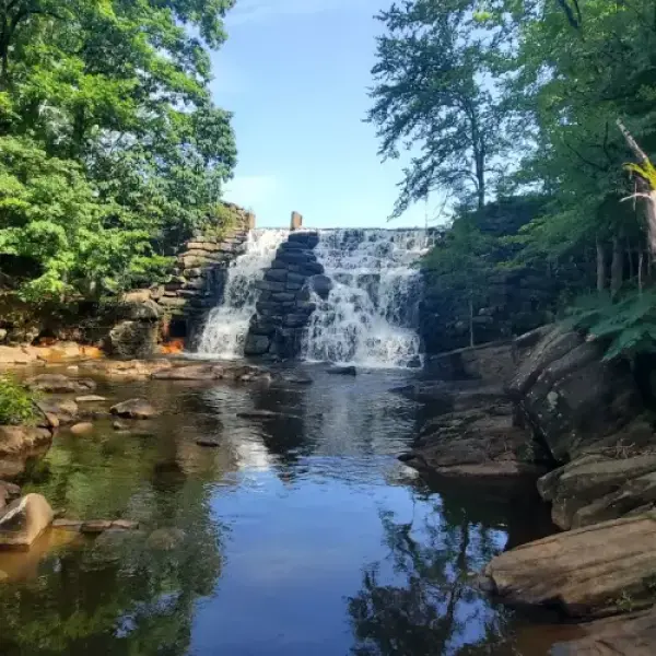Auburn