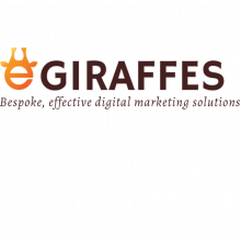 E Giraffes Digital Pvt. Ltd.