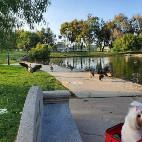 Hawthorne