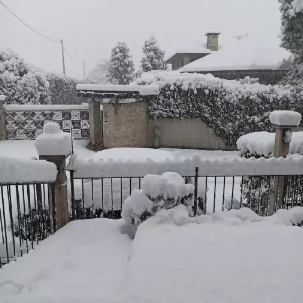 Bernareggio