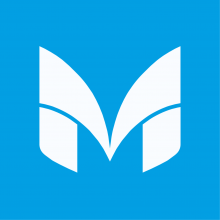 MIROTECH GROUP