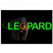 Leopard Group
