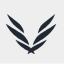 Angel Designs