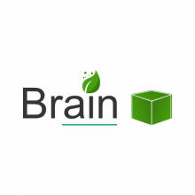 BrainBox Tech