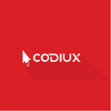 CodiuX Private Limited
