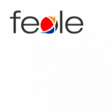 Fexle Infotech Private Limited
