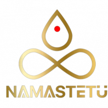 Namastetu Technologies Pvt.Ltd