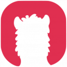 Alpaca SEO Agency