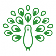 Virtue Analytics Private Limited