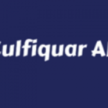 Zulfiqar Ali Abro - SEO Expert