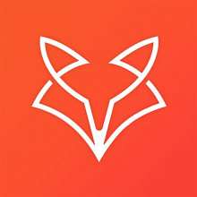 DigiFox Technologies