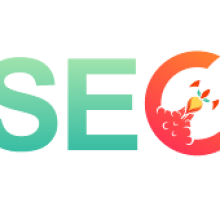 SEO Disrupt
