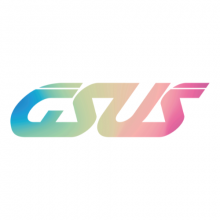 GSUS STAR SOFTWARE SOLUTIONS PVT LTD