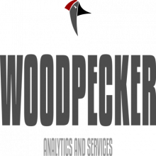 Woodpecker Analytics and Services