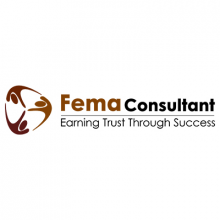 FEMA Consultant