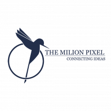 The Milion Pixel