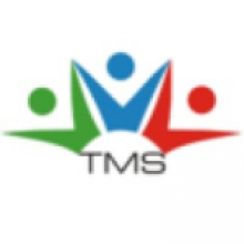 Team Management Services