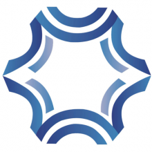 Digisecuritas Pvt. Ltd.