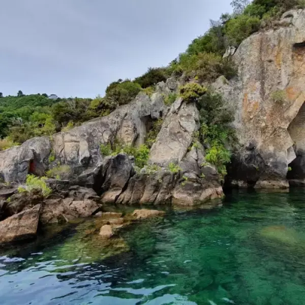 Taupo