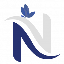 2N Consulting Group