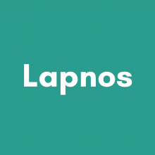 Lapnos | International Development Firm