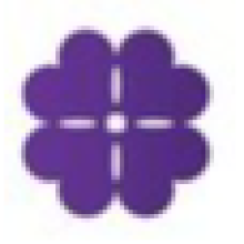 Shamrock Digital Services