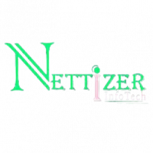 Nettizer InfoTech