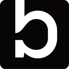 BrainSource Network