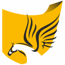 Pegasus Digital Crew