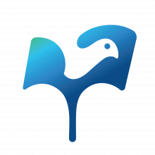 Techbird IT Services Private Limited
