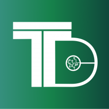 Techdevise IT Services Llp