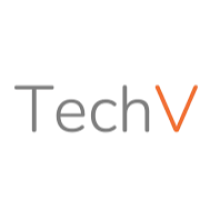 Tech Vedika Software Ltd