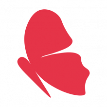 Ray Creations India