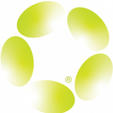 Pragmatic Software