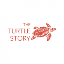 The Turtle Story